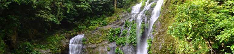 Falls & Trekking