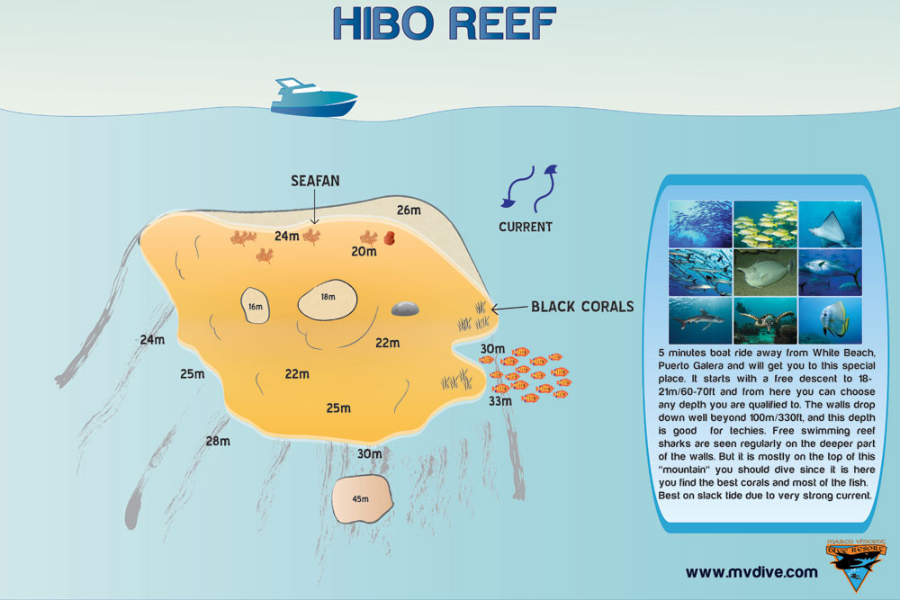 Hibo Reef